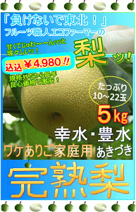 茨城県産　摘果梨　箱込み19.5~20キロ リサイクル箱　加工用 業務用産廃コンテナー 史上最強鉄の壁 1.5L大容量産廃ボックス