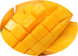 nIiIN[}S[Ԃ̂`^CY3ʖkCBւ͕ʓr330~iōj\󂯂܂BX܃[Œ܂B