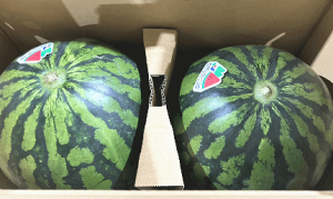 ÂĔ`IXCJ4LTCY2ʁiAijv13kg/Yق