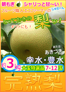 21000~OFF!GRt@[}[Ot@~[̒āIIʁynz3kg/7`12ʁikCBʓrZj8{`9{̔ł