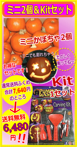 pZbgIJ[BOInEBpڂy~jz2+J[rOLbg1ZbgiLh2v[gIjAJYWbNI^ J[rO nEB
