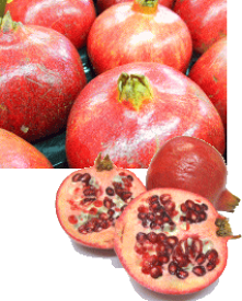 ★ザクロ8~15玉（フル箱）北海道九州へは別途330円（税込）申し受けます。店舗メールで訂正いたします。