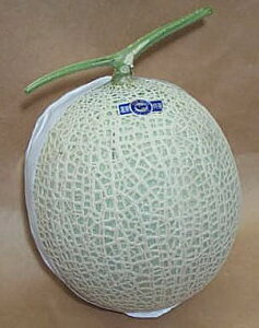 ÉY/ōNE}XN1ʁi1.3kgj