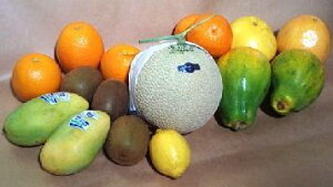 �����I�}�X�N���������v���~�A���t���[�c�l����/NO7