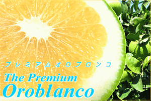 ÂO[vt[c!?PIv~AIuR18+܂蕪2ʁ20ʂ͂IJtHjAYMtgV[Ŷߑʂd܂ʂꏏɓ`Ⴂ܂