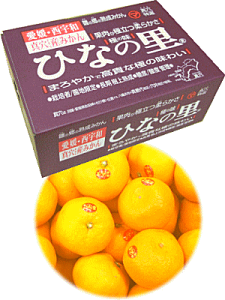 Q̈iI^݂y̗z5kg/S`LTCY׎攭\BwsƂȂ܂B̏ゲ肢܂BkCBւ͕ʓr330~iōj\󂯂܂B