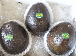 1000~ōIWFC&GIZN[A{Jh2ʃLVRY