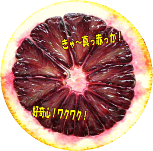 ���{��60�P�[�X�قǂ̓��ׂł��I�t���b�V���u���b�h�I�����W������3�ʁi�I�[�X�g�����A�Y�E�J���t�H���j�A�Y�E���Y�j�������܃I�[�X�g�����A�Y�ł���B�k�C���ւ͕ʓr330�~�^����E����