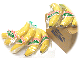 楽天市場 フルーツ 果物 生産国フィリピン 食品 の通販