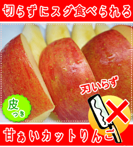 2l炵ƒ6I①ɂ2TԕۑIVLVLÂuJbg񂲂vZbgy48Jbgz6ʕ/XY}փN[ւɂĂ͂I
