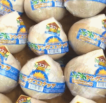 新鮮 ヤングココナッツ 詰め合わせ 箱入り 楽天市場】ココナッツブラザーズの通販