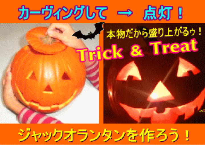ハロウィンかぼちゃ 本物 2個 No.12 No.13 Amazon.co.jp: ハロウィンかぼちゃセット25個入（Mサイズの