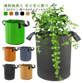 不織布プランター 布鉢 栽培袋 6個セット 通気性抜群 折りたたみ可能 軽量 家庭菜園 ベランダ菜園 ガーデニング 野菜 観葉植物 植え替え