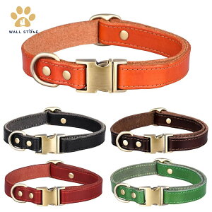 ̎ т    J[ v v ^obN ^b` ʋC _炩 ߉\ ^ ^ pi  킢 JWAJ[ 5FIł S M L y