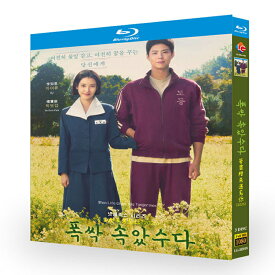 韓国ドラマ 日本語/韓国語 日本語字幕付き 「おつかれさま/本当にお疲れさまでした」 Blu-ray BOX パク・ボゴム IU 主演 高画質 全話セット