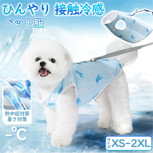 y10%|CgobNz   n[lX ybg p N[xXg MǑ΍ ΍ Ђ xXg N[ u p hbOEGA ^ ^ U