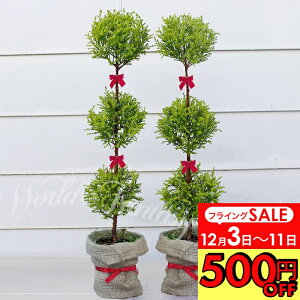 _500~OFFN[|s 12/3`^@Mtg ϗtA ؃gsA[d 3 Rjt@[ S[hNX 2Zbg 5y n著zΎ ~ɋ Mtg A a