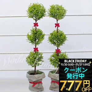 _N[|s^ Mtg ϗtA ؃gsA[d 3 Rjt@[ S[hNX 2Zbg 5y n著zΎ ~ɋ Mtg A a JXj 