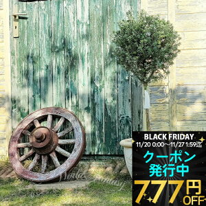 _N[|s^ Mtg  v[g OZvc EGXgMA  gsA[d 8y n著zWestringia fruticosa ϗtA  Ύ A a JX