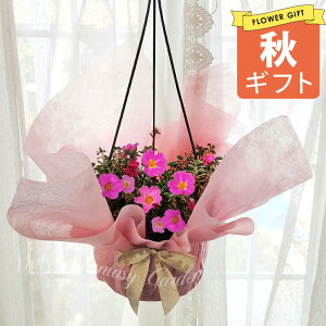 H Mtg  QuiKgIWiI |[`J }WJL[eB[ 6 ݂蔫y[ n著zPortulaca    |[`J c Ϗ 1N  t Ԓd 