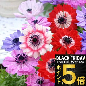 _|Cg5{^   All i[NMix 20ml _te炫d炫 All^y͂ [֑Ή |XgzA N AςȂOK ԕc nbs[K[fy20