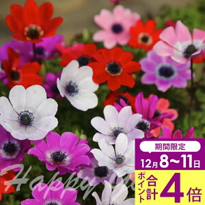 _v|Cg4{ 12/8`11^  All tQX@IׂԐFy͂  [֑Ή SǂłzH ~  N ϊ  t lC HAy2025BU