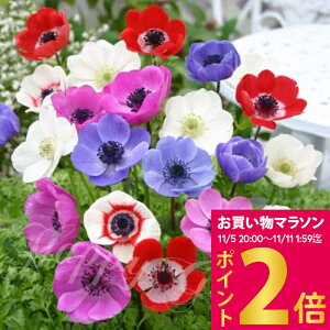   All fJ Mix 35ml _AςȂOKINy߂^d炫 N y͂ [֑Ή |XgzAnemone A OhJo[ ԕc nbs[K[fNA