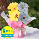 夏 ギフト 花 プレゼント 鉢花 珍しい ハイビスカス ロングライフ 2色植え 選べる6種 鉢植え 1鉢 5号【お届け中 送料無料】お花 お父さん お母さん 鉢 80代 70代 60代 フラワー お花 父 義父 女性 花鉢 サマーギフト お中元 夏のギフト