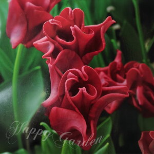   `[bv bhhX 4Zbg NE炫 ̂悤Ȑԉ HAy͂Jn 9{` ^zTulip Red Dress A A Ԓd A Ԃ̋ K[fj