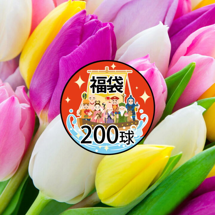 好評にて期間延長 チューリップ 球根 八重咲福袋 30球 4 5品種 見計らい名称付 Globescoffers Com