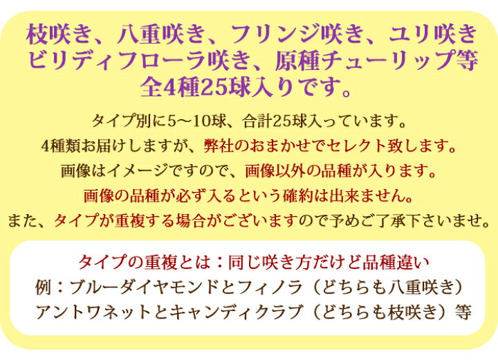 楽天市場 球根増量 冬植え球根 バラエティチューリップ球根 セット 4種 合計25球 増量35球 お届け お届け中 チューリップ 球根 冬植え 花の球根 八重咲き 枝咲き ユリ咲き フリンジ咲き 一重咲き 冬植え球根 原種 Co 21bu ハッピーガーデン 楽天市場 球根増量 冬植え球根 バラエティチューリップ球根 セット 4種 合計25球 増量35球 お届け お届け中 チューリップ 球根 冬植え 花の球根 八重咲き 枝咲き ユリ咲き フリンジ咲き 一重咲き 冬植え球根 原種 Co 21bu ハッピーガーデン