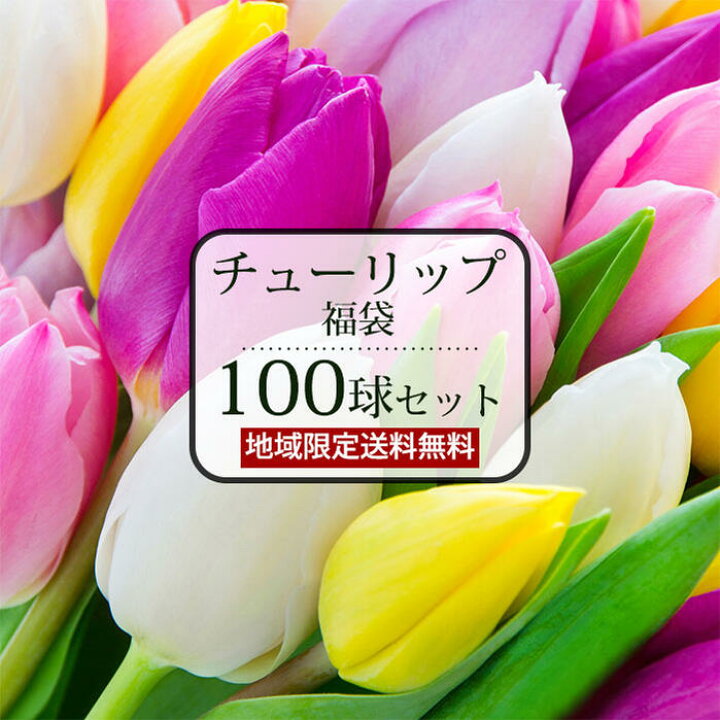 楽天市場 お得な チューリップ球根福袋 100球セット お楽しみ球根100球増量 10種類 品種別でお届け 一重咲き 赤白黄桃紫橙等 地域限定送料無料 苗と同梱可能 チューリップ 球根 福袋 ハッピーガーデン