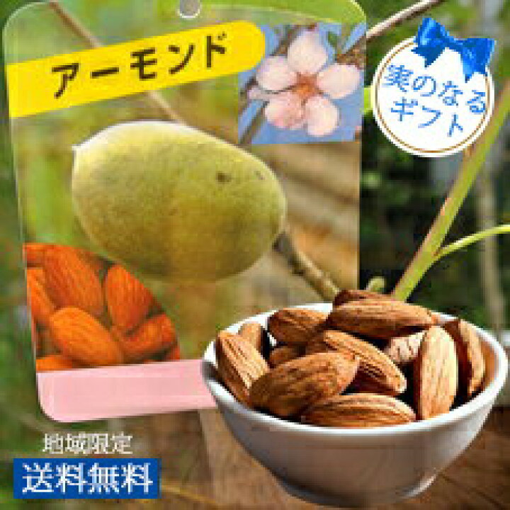 楽天市場 果樹 アーモンドの木 6号 お届け中 地域限定 送料無料 Almond Prunus Dulcis 接ぎ木 実のなる樹 お中元 ギフト 誕生日 プレゼント 男性 父 お父さん おじいちゃん 祖父 季節の 贈り物 ハッピーガーデン 楽天市場 果樹 アーモンドの木 6号 お届け中 地域限定 送料無料 Almond Prunus Dulcis 接ぎ木 実のなる樹 お中元 ギフト 誕生日 プレゼント 男性 父 お父さん おじいちゃん 祖父 季節の 贈り物 ハッピーガーデン