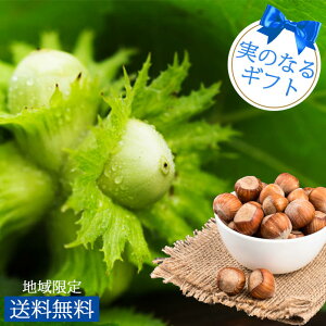 H Mtg ʎ v[g ܂ w[[ibc 5y͂ n著zHazelnuts  ʎ c  j 60 70 ` j    c T}[Mtg 