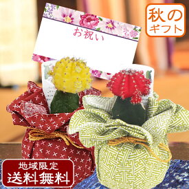 楽天市場 プレゼント 男性 観葉植物 花 観葉植物 花 ガーデン Diyの通販