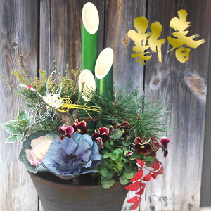  Vt 叼  񂹐A 傫~̖ؓ 7 3tys\@12蔭Jnz}t މVN V tO   叼   N Mtg 蕨 