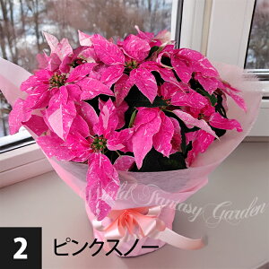 _500~OFFN[|s 12/3`^ Mtg  |CZ`A Iׂ3F 5 y͂z a n@ bZ[WJ[h C^Abh Of[ sNXm[