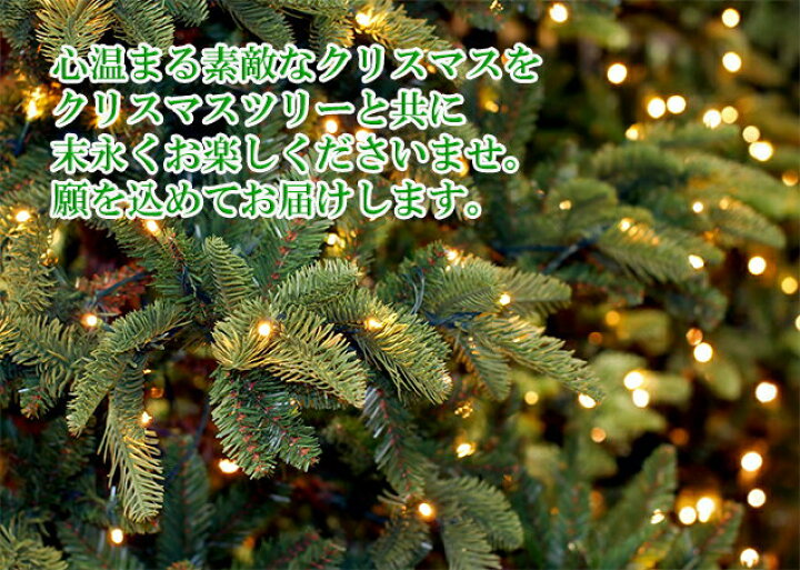 楽天市場 クリスマスツリー モミの木 ドイツトウヒ 8号鉢 お届け中 同梱不可 ドイツトウヒツリー プラ鉢でお届け 地域限定送料無料 同梱不可 ハッピーガーデン