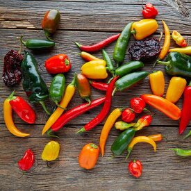 野菜苗 World Hot Chili Peppers とうがらし 苗 選べる11種類 1鉢 3号 【お届け中】 トウガラシ 唐辛子 苗 激辛 野菜 チリペッパー 激辛 夏苗 ハッピーガーデン