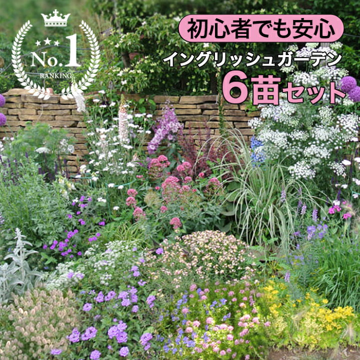 楽天市場】楽天ランキング1位 初心者安心！植えるだけで庭が完成 