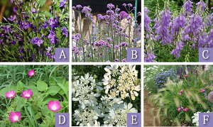 yV1 ԕc c  h H CObVK[f Zbg 6c 1mXs50cm y10`Jn n  \zc N N Ԓd    ԕcZbg ϊ K[f