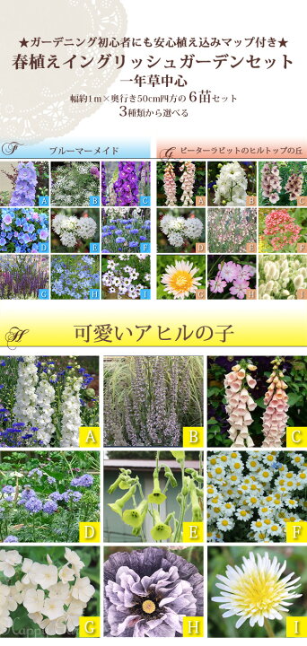 楽天市場】楽天ランキング1位 初心者安心！植えるだけで庭が完成 