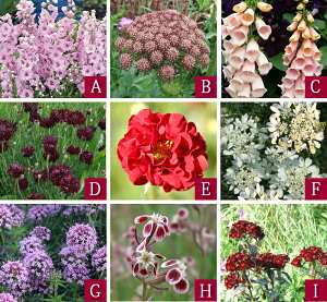 _܂ƂߔN[|s^ yV1 ԕc Zbg H ~ t h N S҂ɂȒPS}bvt CObVK[f 9c ԕcZbgy10Jn zA 