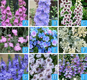 _܂ƂߔN[|s^ yV1 ԕc Zbg H ~ t h N S҂ɂȒPS}bvt CObVK[f 9c ԕcZbgy10Jn zA 