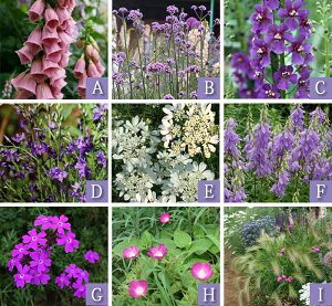 _܂ƂߔN[|s^ yV1 ԕc Zbg H ~ t h N S҂ɂȒPS}bvt CObVK[f 9c ԕcZbgy͂ zA Ԓdp