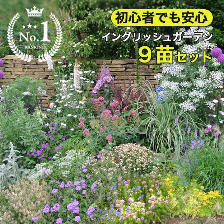 楽天市場】楽天ランキング1位 初心者安心！植えるだけで庭が完成 