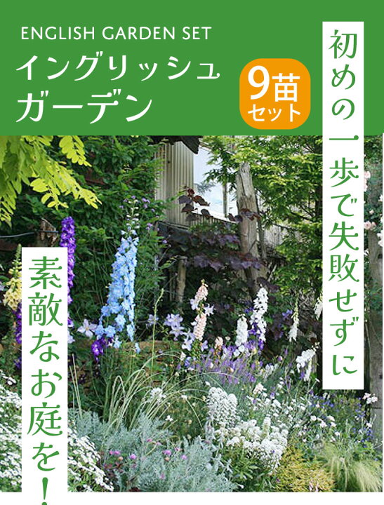 楽天市場】楽天ランキング1位 初心者安心！植えるだけで庭が完成 