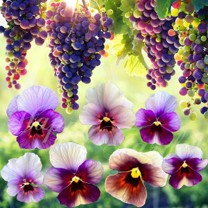 ԕc t rI Ԃǂ 3.5 2Zbgy͂zviola c ԕc N CObVK[f 񂹐A K[fjO A A Ԓd ~̉ԁ@nbs[K[fy2025Vz1230v