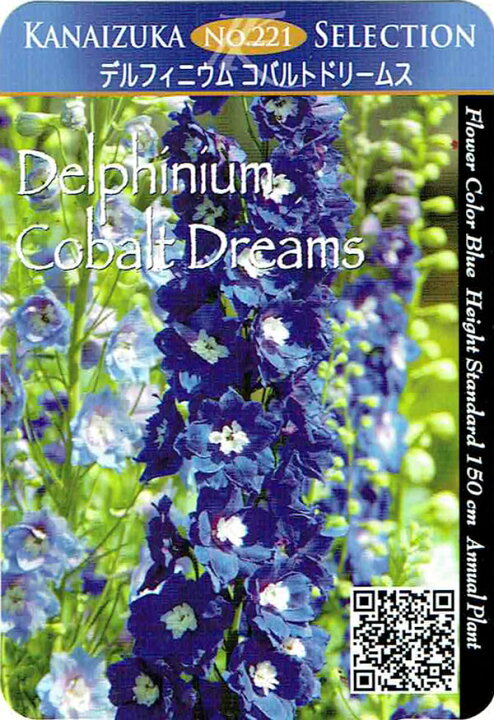 楽天市場 花苗 デルフィニウム コバルトドリームス 1鉢 3 5号 お届け中 冬 苗 宿根草 花苗 草丈高 青花 白花 花の苗 イングリッシュガーデン 鉢植え 庭植え 耐寒性 ガーデニング 花壇 Delphinium Cobalt Dreams デルフィニューム ハッピーガーデン