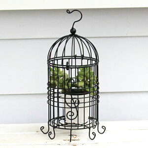 G Č^ t[P[W  1y͂ n著z G  Č^ K[fG nMO t[P[W o[hP[W   S F AeB[N